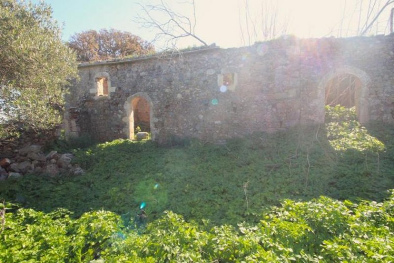 Sellia Chania Einzigartiges Grundstück mit Meerblick zum Verkauf in Sellia Grundstück kaufen